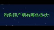 狗狗预产期有哪些症状