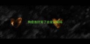 狗疫苗打完了会发证明吗