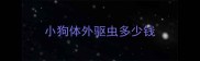 小狗体外驱虫多少钱