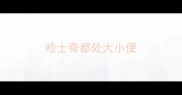 哈士奇都处大小便