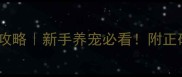 狗狗疫苗肌肉注射部位全攻略新手养宠必看附正确操作步骤和注意事项