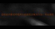 边牧幼犬睡觉呼吸声大的原因及解决方法专业兽医