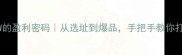 宠物店月入5W的盈利密码从选址到爆品手把手教你打造高利润店铺
