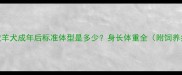 边境牧羊犬成年后标准体型是多少身长体重全附饲养指南