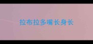 拉布拉多嘴长身长