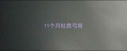 11个月杜宾弓背