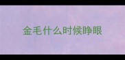 金毛什么时候睁眼