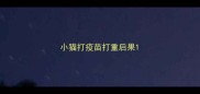 小猫打疫苗打重后果
