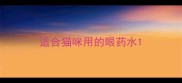 适合猫咪用的眼药水