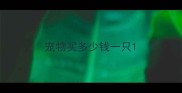 宠物买多少钱一只