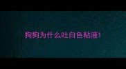 狗狗为什么吐白色粘液