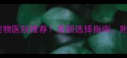 大连口碑最好的宠物医院推荐最新选择指南附真实就诊经验分享