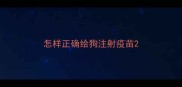 怎样正确给狗注射疫苗