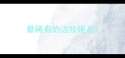 最稀有的边牧陨石