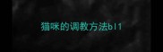 猫咪的调教方法bl