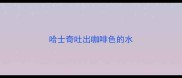 哈士奇吐出咖啡色的水