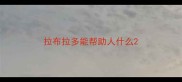 拉布拉多能帮助人什么