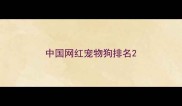 中国网红宠物狗排名