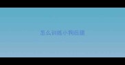 怎么训练小狗后腿