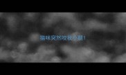 猫咪突然咬我小腿
