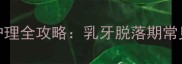 2个月大金毛幼犬牙齿护理全攻略乳牙脱落期常见问题与科学养护指南