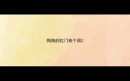狗狗的肛门有个洞