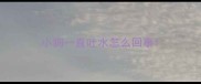 小狗一直吐水怎么回事