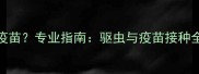 狗狗驱虫后多久打疫苗专业指南驱虫与疫苗接种全流程附时间表