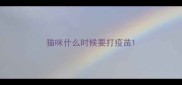 猫咪什么时候要打疫苗