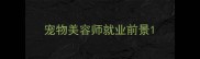 宠物美容师就业前景