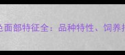 拉布拉多犬黑色面部特征全品种特性饲养指南与常见问题