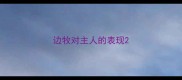 边牧对主人的表现