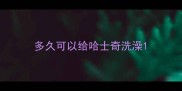 多久可以给哈士奇洗澡