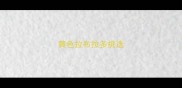 黄色拉布拉多挑选