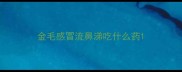 金毛感冒流鼻涕吃什么药