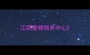江阴宠物领养中心