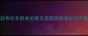 拉布拉多挑食的常见原因及科学应对方案