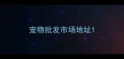 宠物批发市场地址