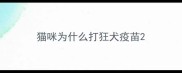 猫咪为什么打狂犬疫苗