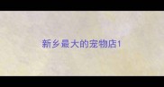 新乡最大的宠物店