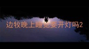 边牧晚上睡觉要开灯吗