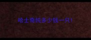 哈士奇纯多少钱一只