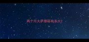 两个月大萨摩耶有多大
