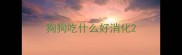 狗狗吃什么好消化