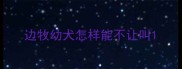 边牧幼犬怎样能不让叫
