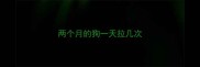 两个月的狗一天拉几次