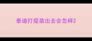 泰迪打疫苗出去会怎样
