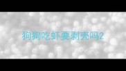 狗狗吃虾要剥壳吗