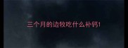 三个月的边牧吃什么补钙