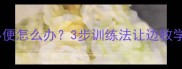 边牧不抬腿小便怎么办3步训练法让边牧学会定点如厕